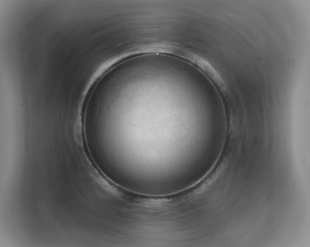 X0000111361184200907101224