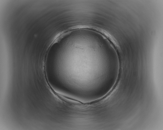X0000111361185200907101224