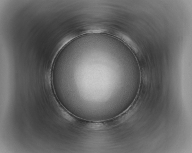 X0000111361186200907101224