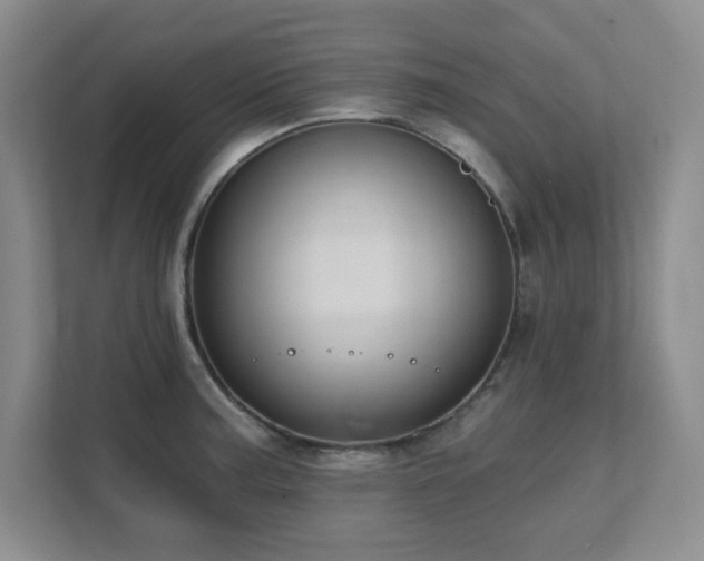 X0000111361187200907101224