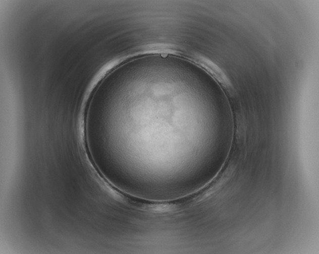X0000111361188200907101224