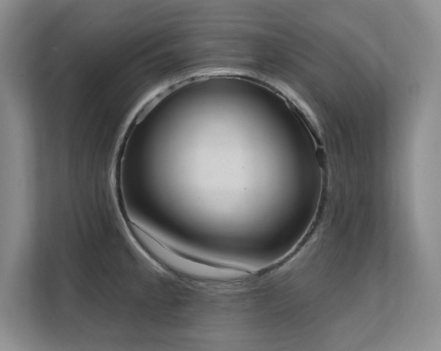 X0000111361189200907101224