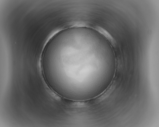 X0000111361190200907101224