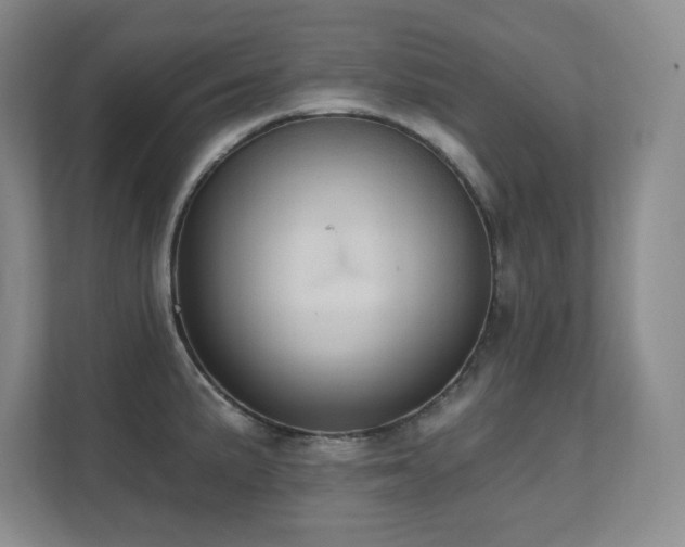 X0000111361191200907101224