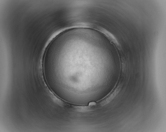 X0000111361192200907101224