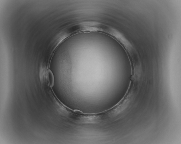 X0000111361193200907101224
