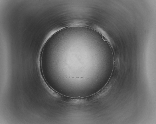 X0000111361195200907101224