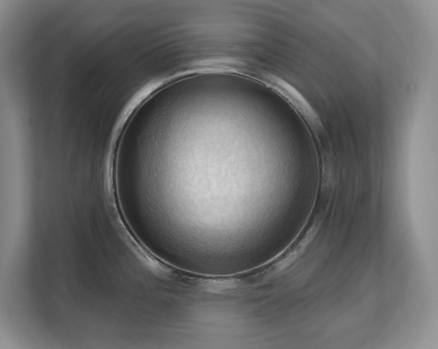 X0000111361196200907101224