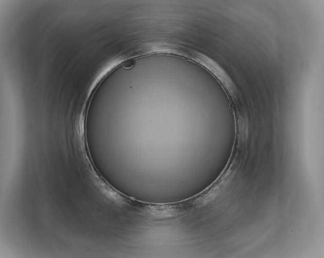 X0000111361198200907101224