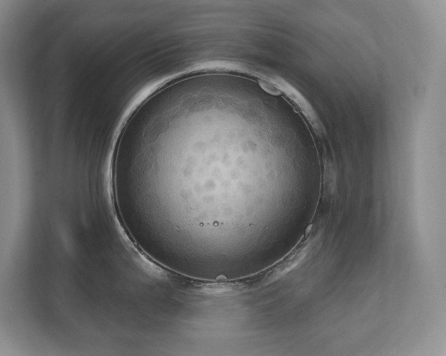 X0000111361199200907101224