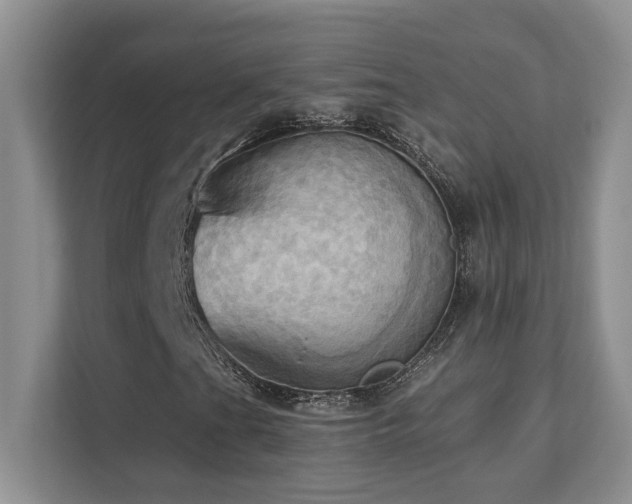 X0000111361201200907101223