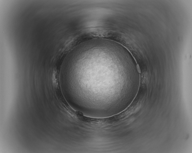 X0000111361202200907101223