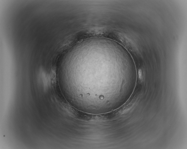 X0000111361203200907101223