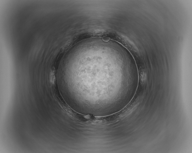 X0000111361204200907101223