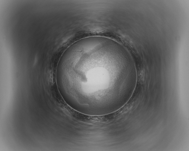 X0000111361205200907101223