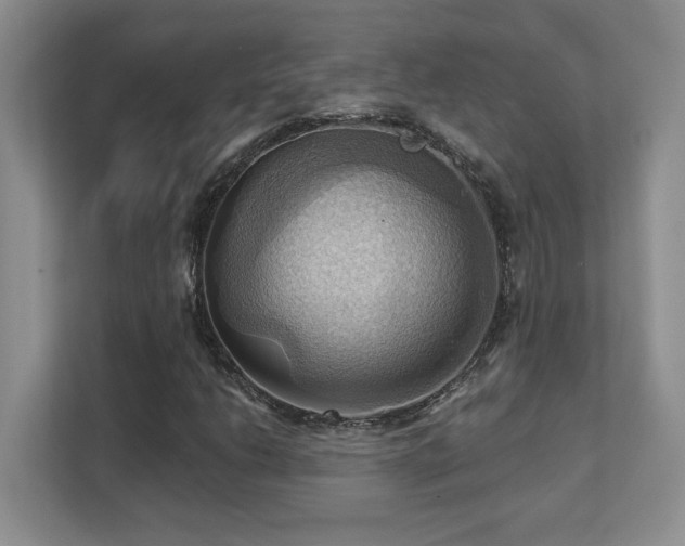 X0000111361206200907101223