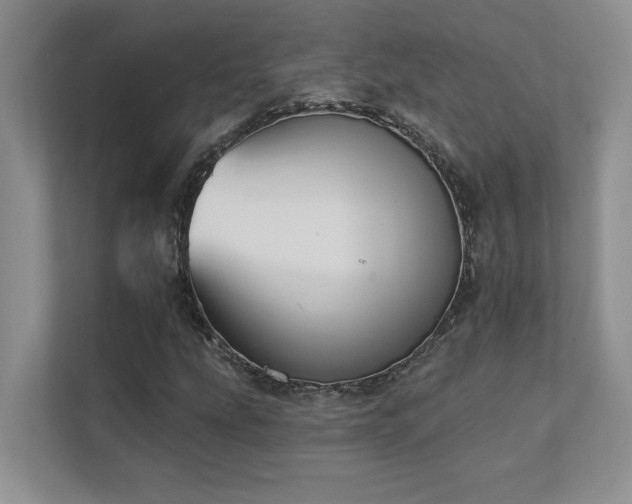 X0000111361207200907101223