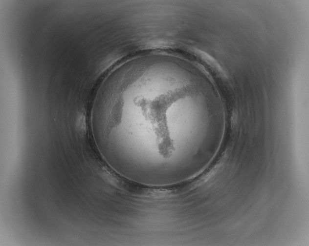 X0000111361209200907101223