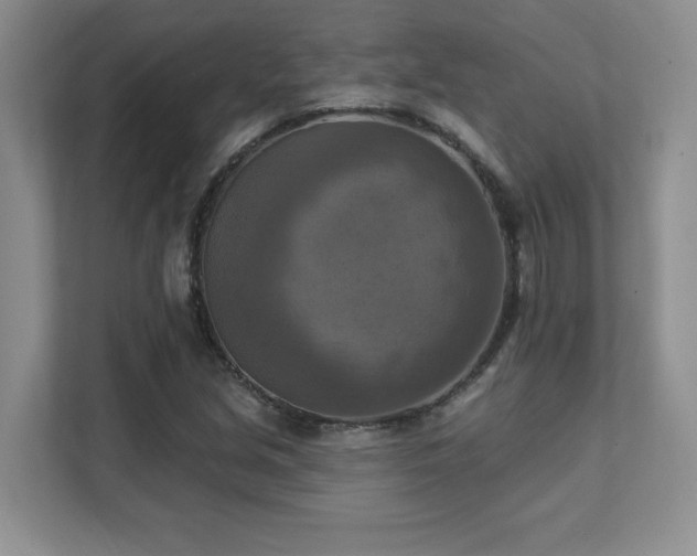 X0000111361213200907101224