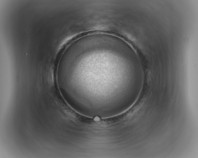 X0000111361214200907101224