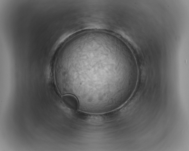 X0000111361215200907101224