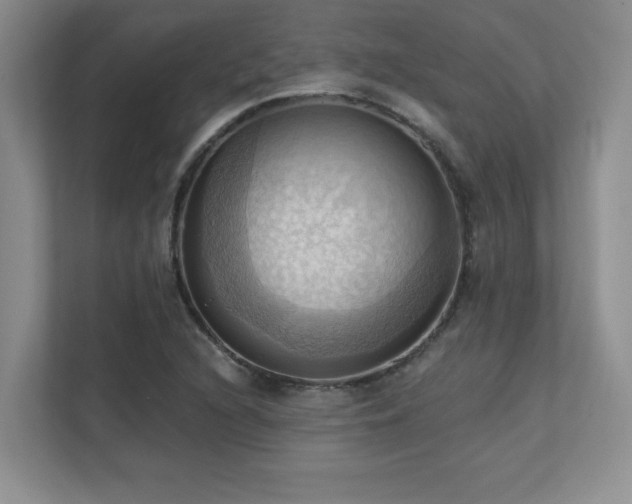X0000111361216200907101224