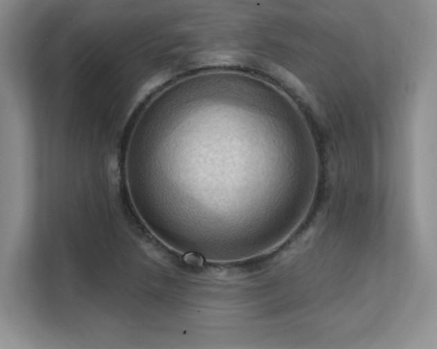 X0000111361218200907101224