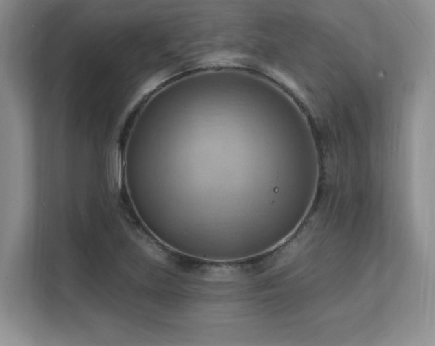 X0000111361219200907101224