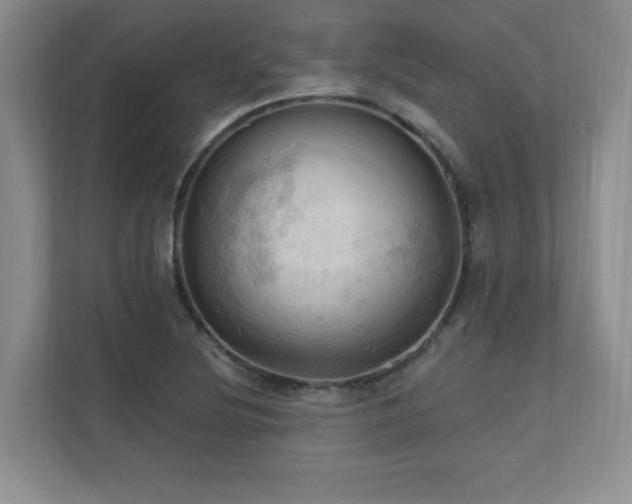 X0000111361220200907101224