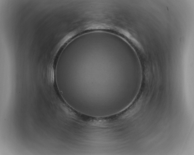 X0000111361221200907101224