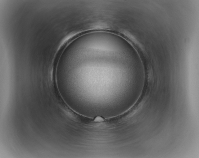 X0000111361222200907101224