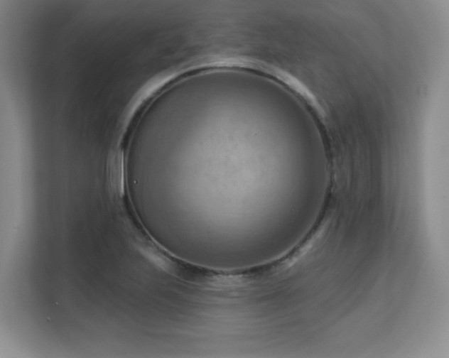 X0000111361223200907101224