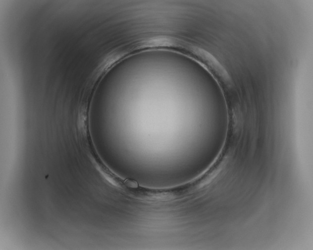 X0000111361225200907101224