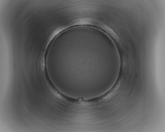 X0000111361226200907101224