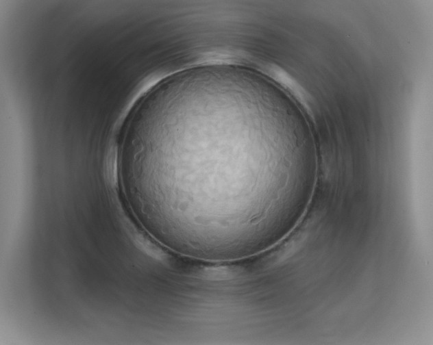 X0000111361227200907101224