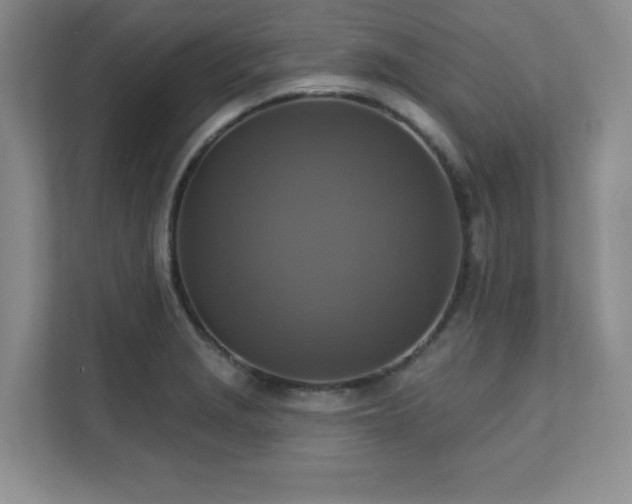 X0000111361229200907101224