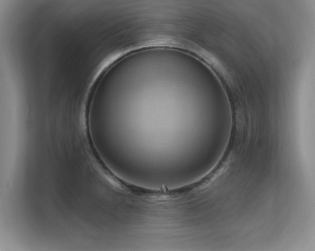X0000111361230200907101224
