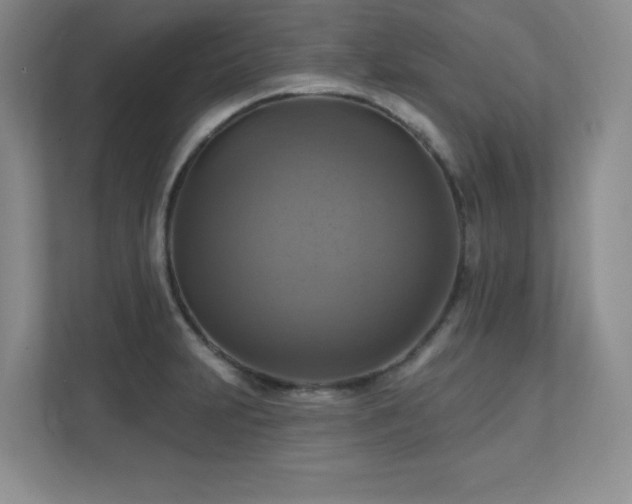X0000111361231200907101224