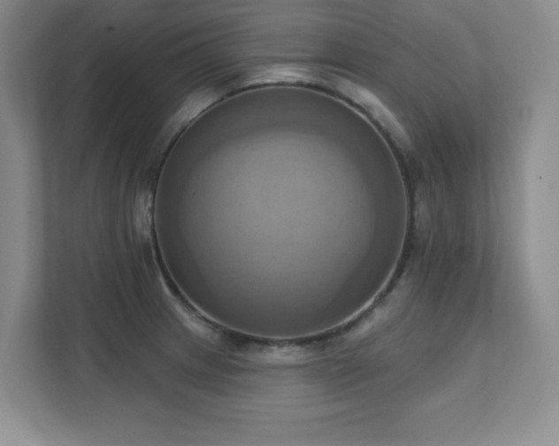 X0000111361233200907101224