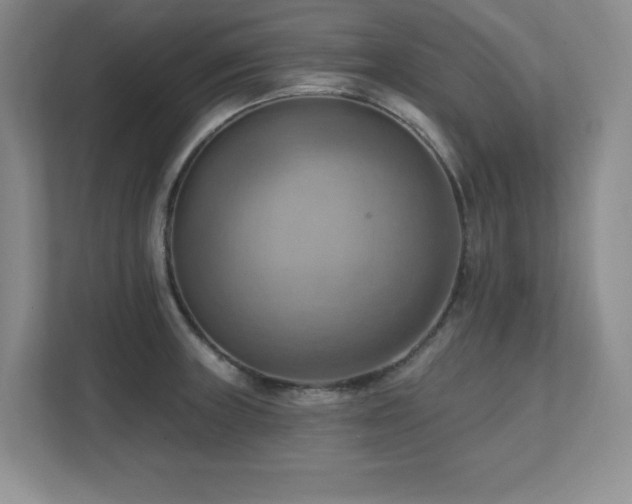 X0000111361235200907101224
