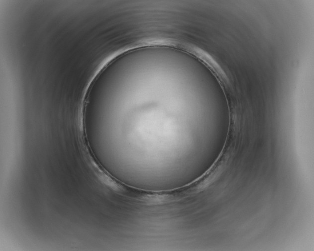 X0000111361236200907101224