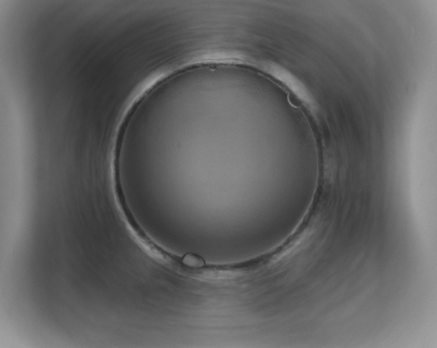 X0000111361237200907101224