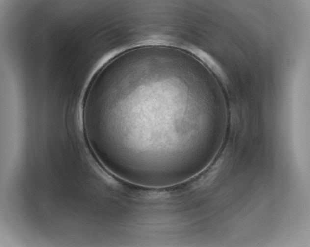X0000111361238200907101224