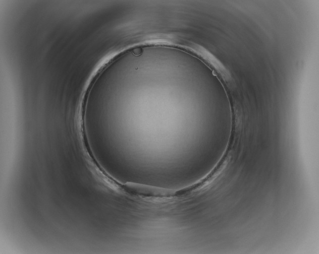 X0000111361240200907101224
