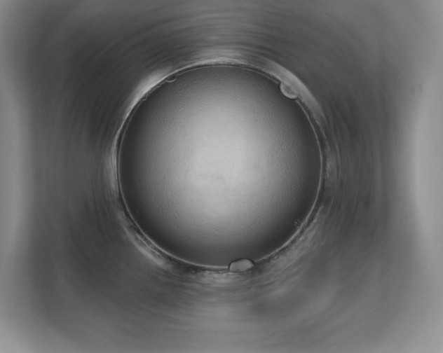 X0000111361242200907101224