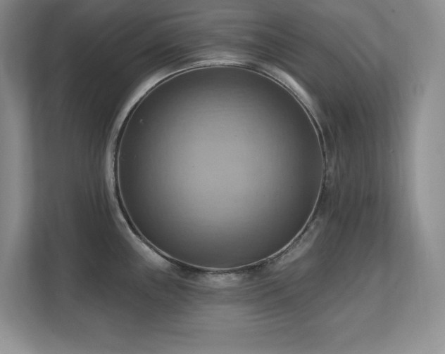 X0000111361243200907101224