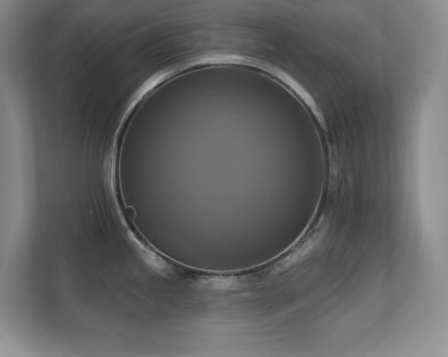 X0000111361245200907101224