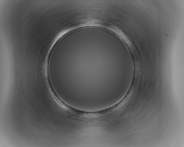X0000111361246200907101224