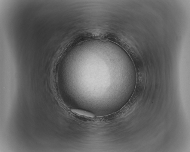 X0000111361249200907101223