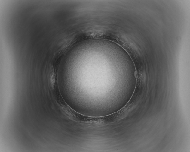 X0000111361250200907101223